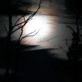 135-Moonrise-@-Daisy-Dell-02-copy